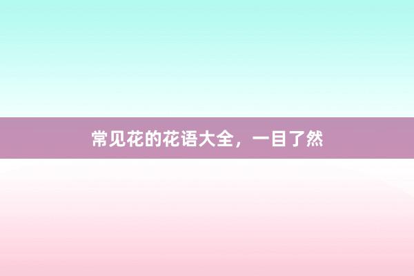 常见花的花语大全，一目了然