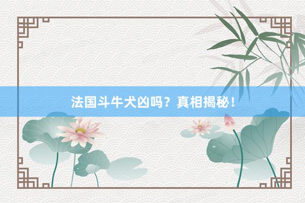 法国斗牛犬凶吗？真相揭秘！